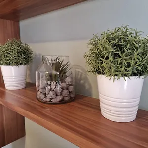 Tony Apartman